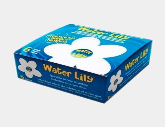 Water lily – vue 2
