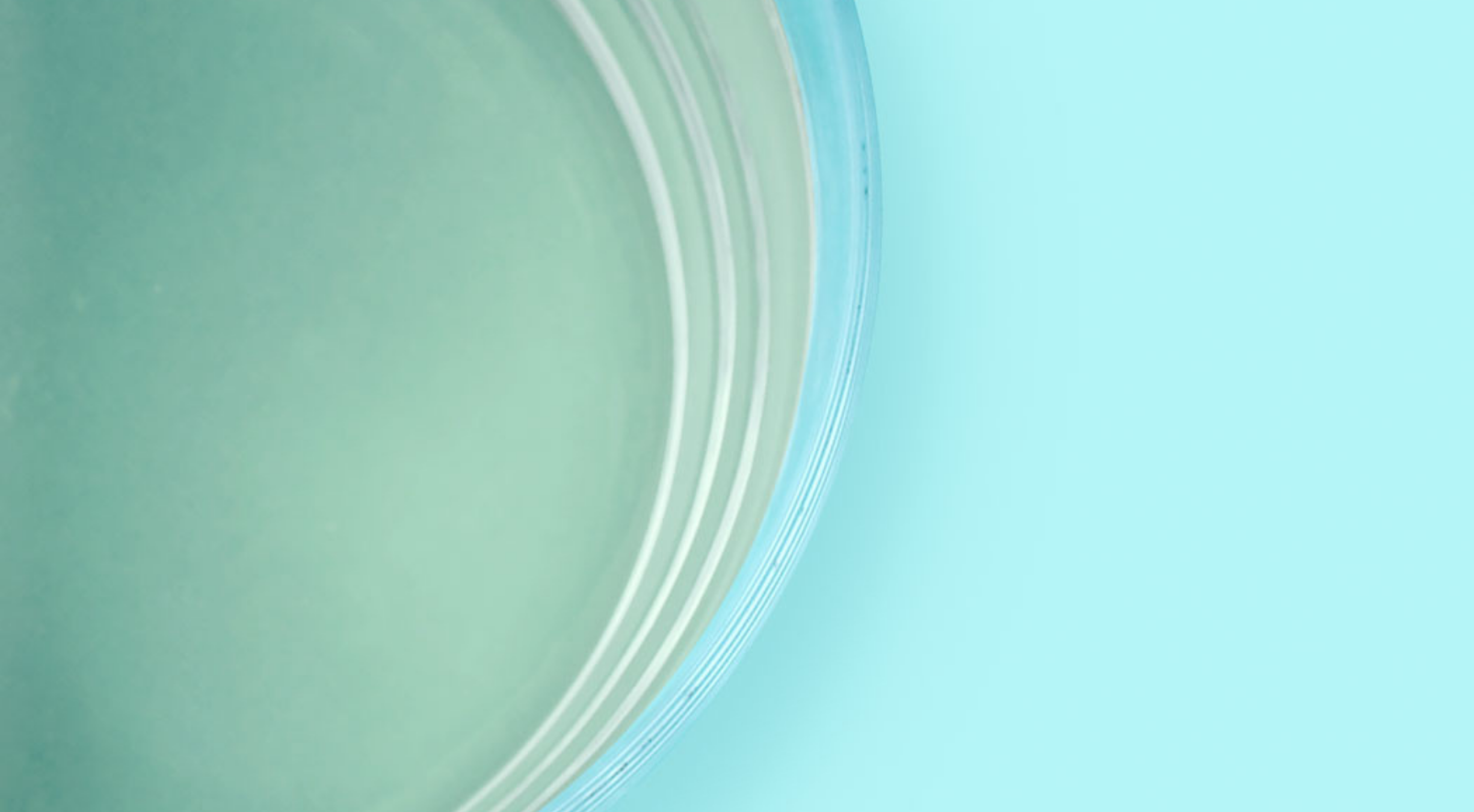 CALCINEX 1l – vue 7